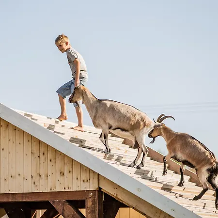 Holiday home Wczasowy Z Dostepem Do Mini Zoo Donkeyszot Rogozina