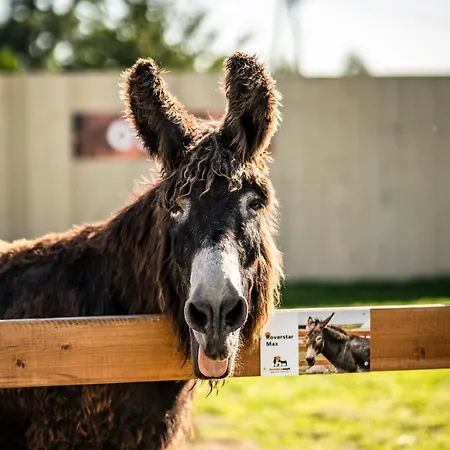 Holiday home Wczasowy Z Dostepem Do Mini Zoo Donkeyszot Rogozina