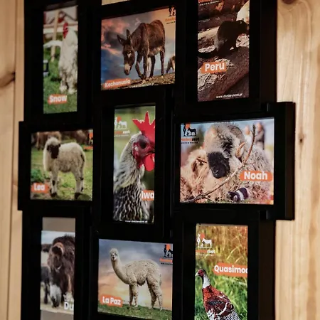 Holiday home Wczasowy Z Dostepem Do Mini Zoo Donkeyszot