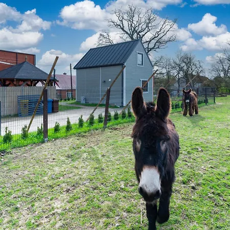 Holiday home Wczasowy Z Dostepem Do Mini Zoo Donkeyszot