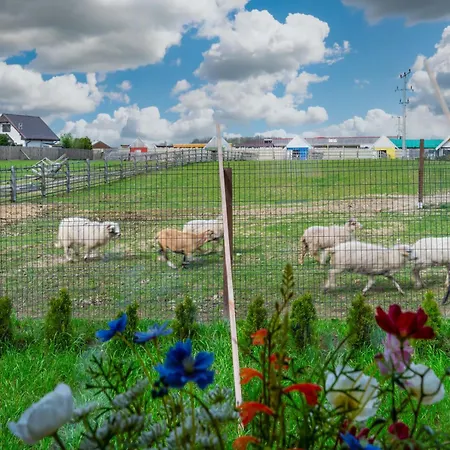 Holiday home Wczasowy Z Dostepem Do Mini Zoo Donkeyszot Rogozina