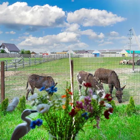 Holiday home Wczasowy Z Dostepem Do Mini Zoo Donkeyszot
